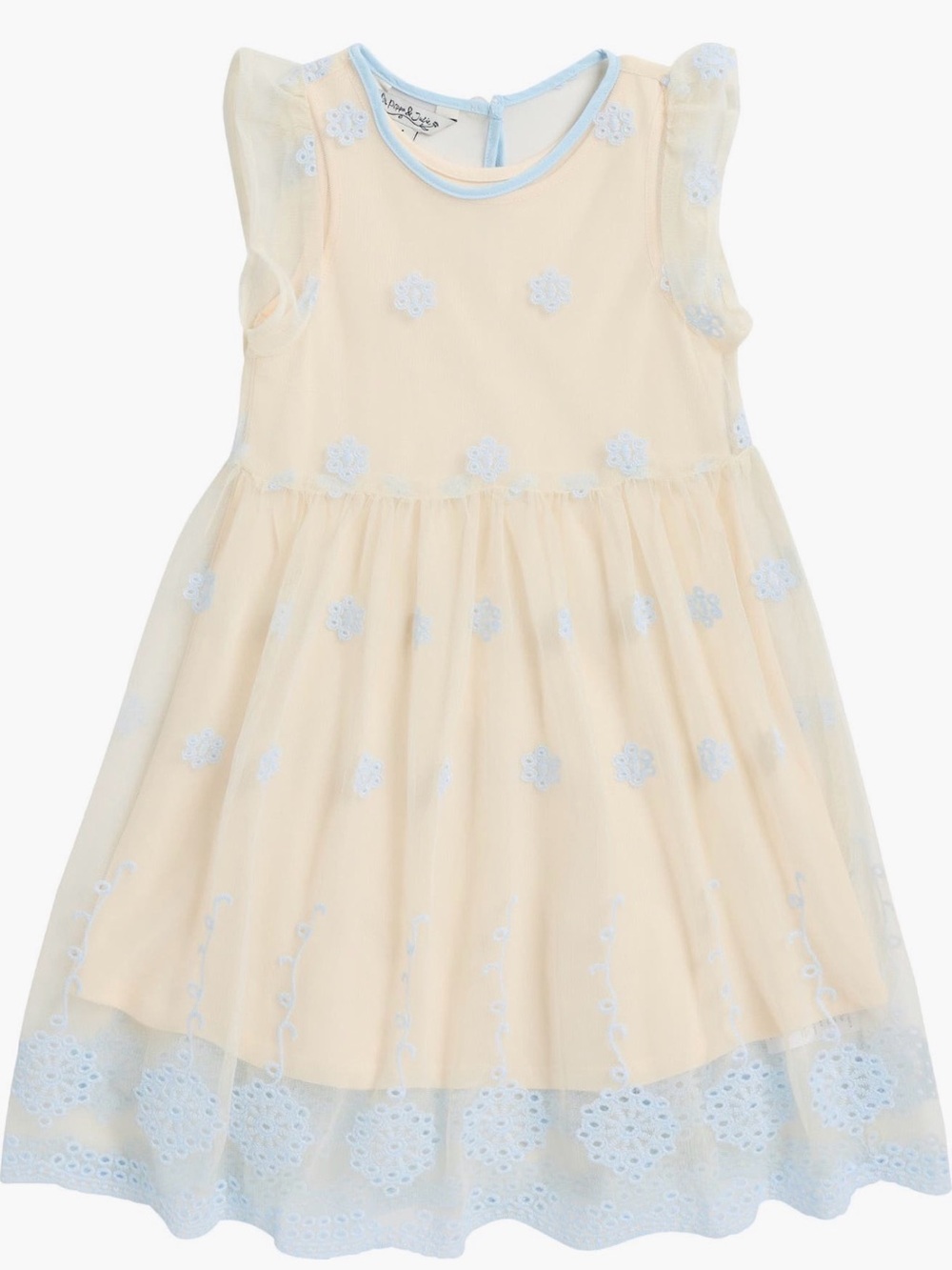 Ivory and blue embroidered dress